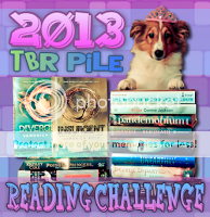 2013 TBR Challenge