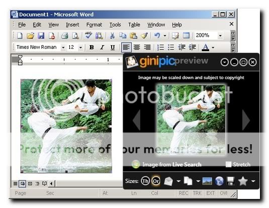 Ginipic and MS Word