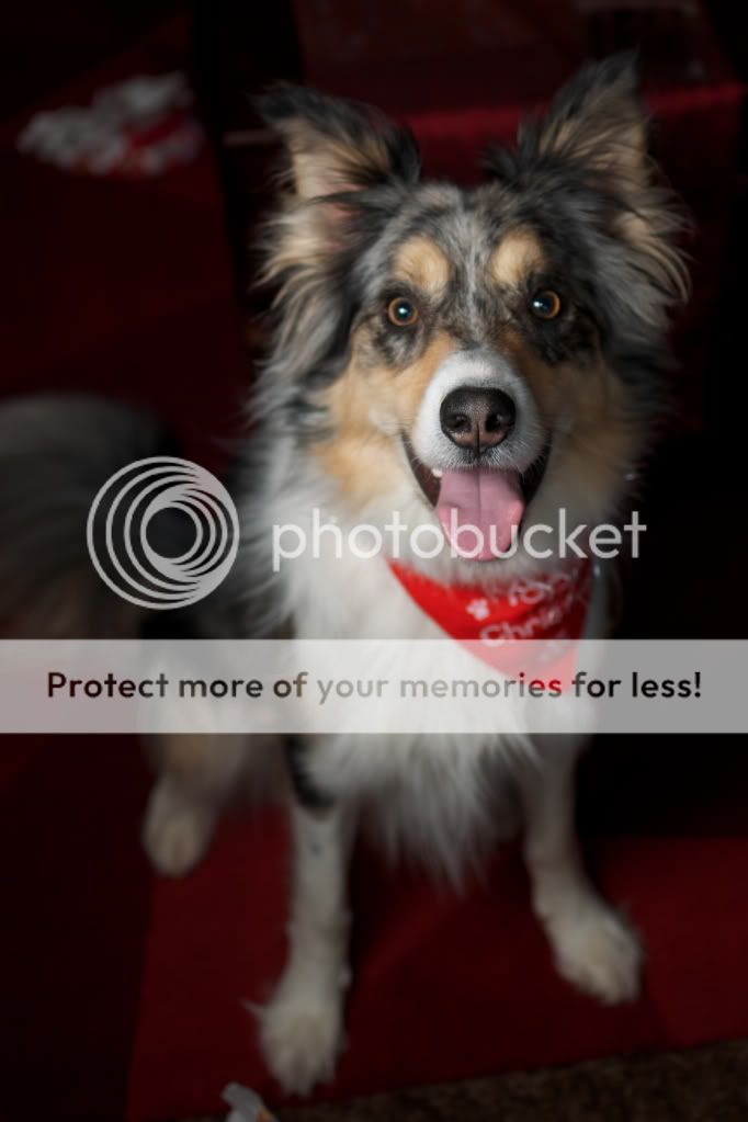 2013 © ct8282