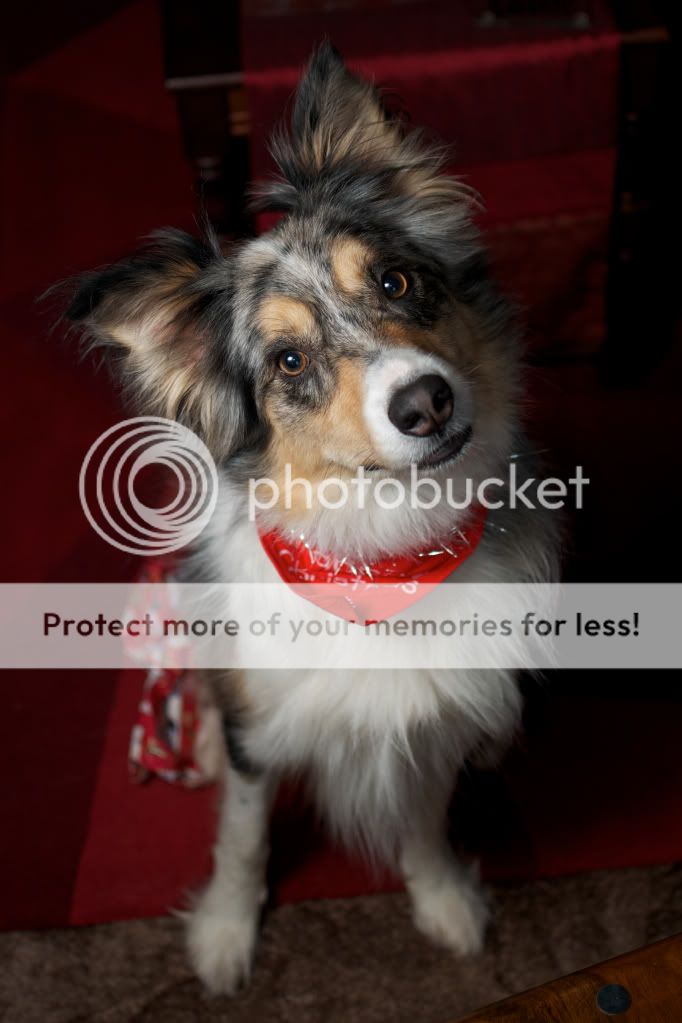 2013 © ct8282