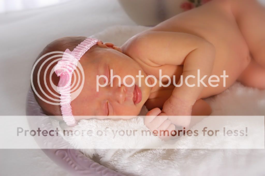 baleighnb003.jpg soo peaceful image by tylertara