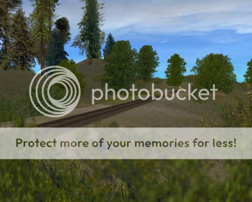 7-15-09-11.jpg