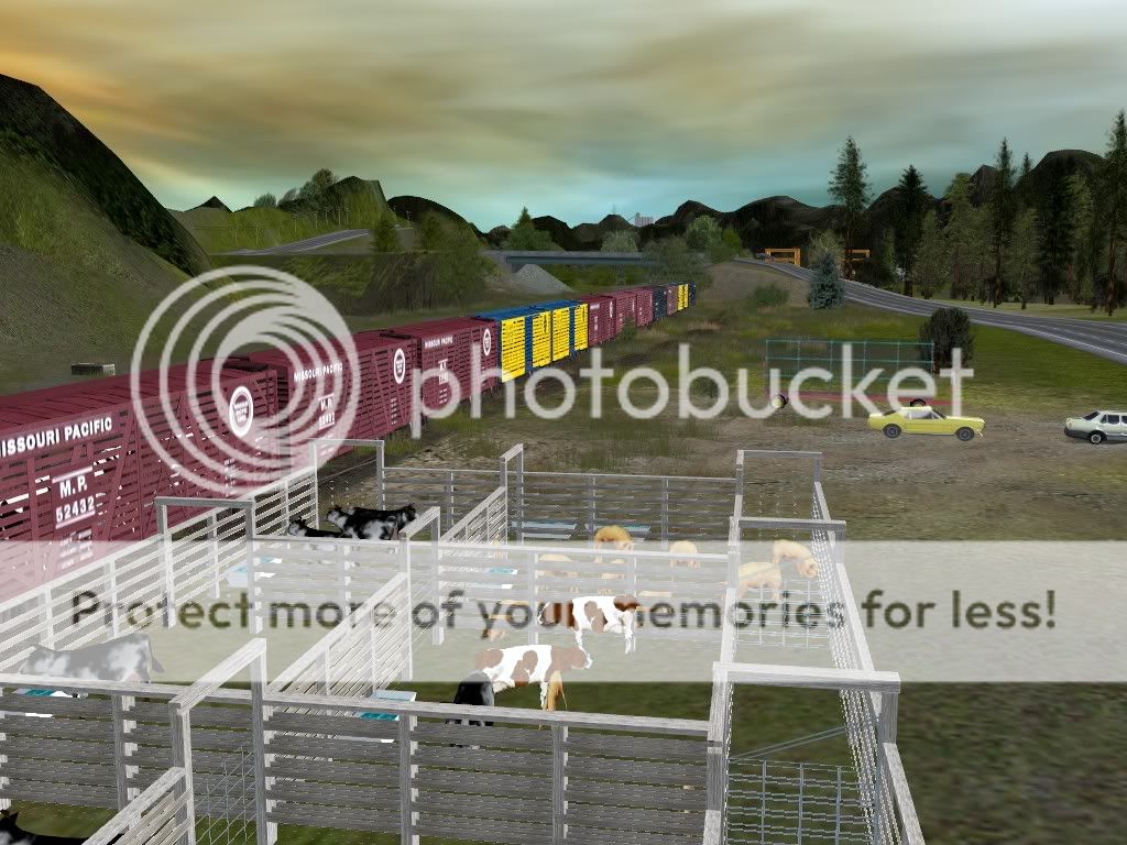 PensCattleRun-LoadingCattle2.jpg