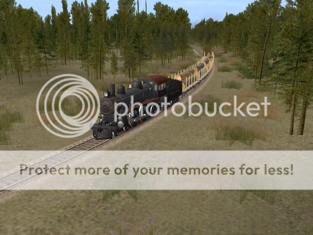 trainz2010-07-2619-37-22-85.jpg