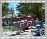 tree044.mp4 video by b_ever