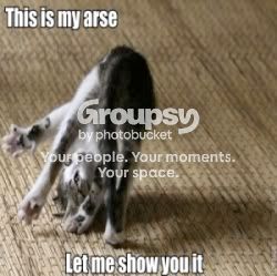 Arse
