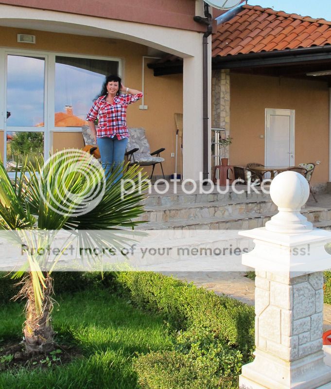 photo 8222_zps5if2uvzd.jpg