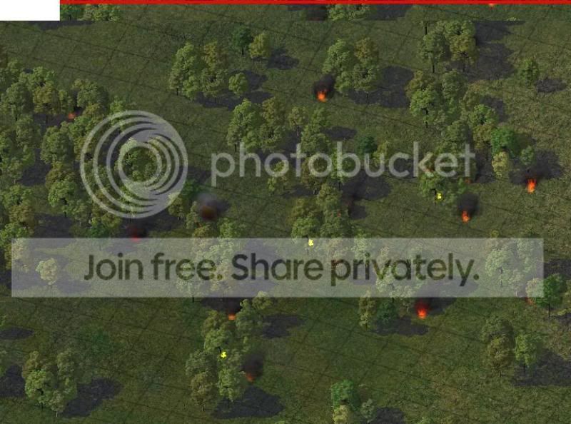 fire.jpg