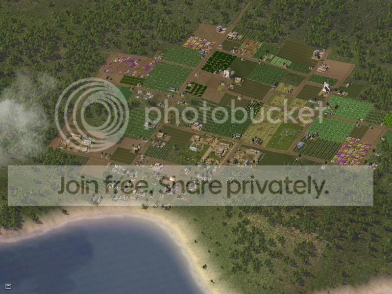 wholetown.jpg