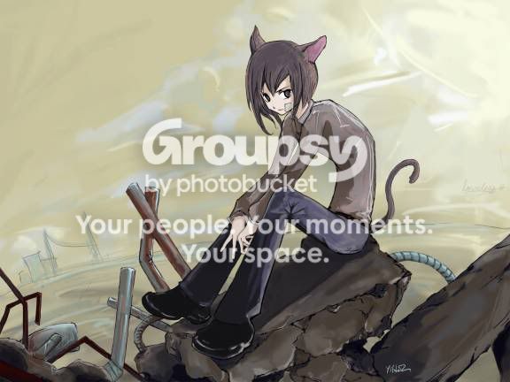 User Image