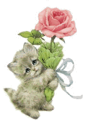 kittenrosip8.gif